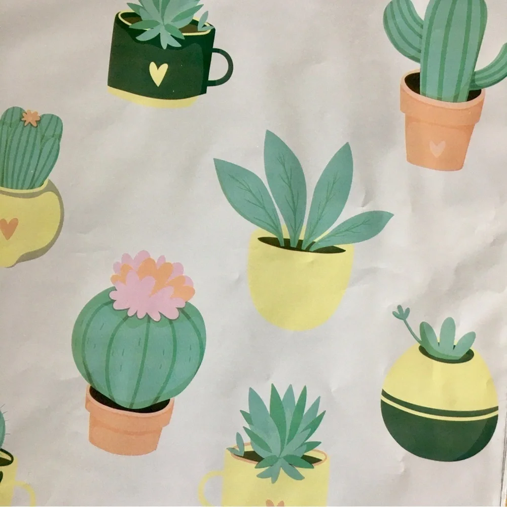 10 Count - Variety Bundle of 10 x 13 Polymailers (SMILEYS + CACTUS)